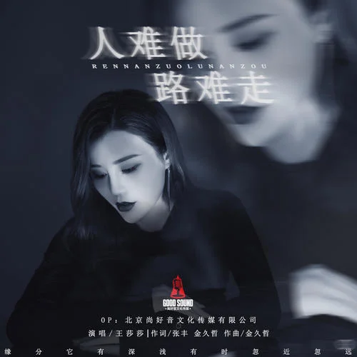 人難做路難走-王莎莎