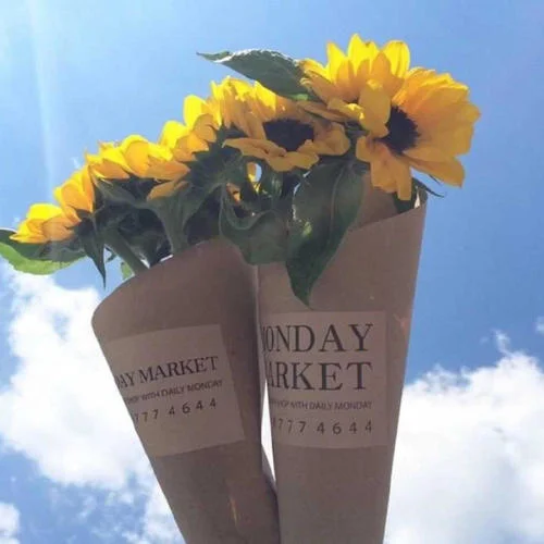 《畢業(yè)作品展》-2.mp3-云朵_ph