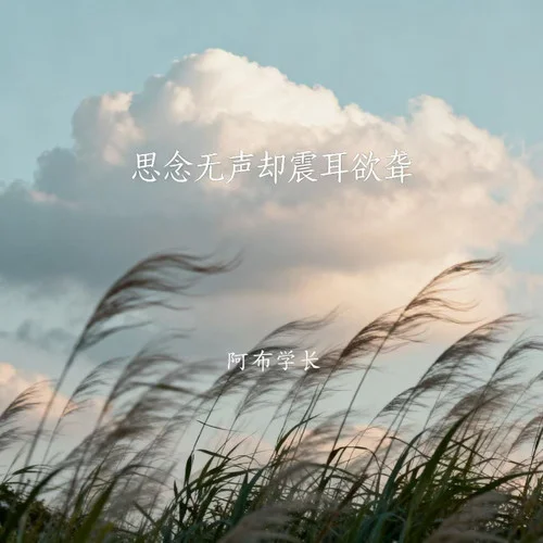 思念無(wú)聲卻震耳欲聾-阿布學(xué)長(zhǎng)