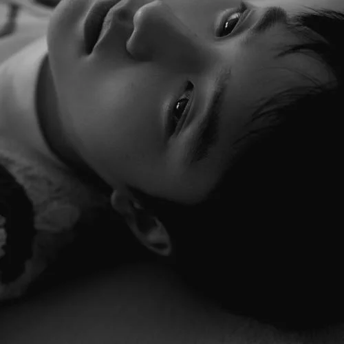 Rose(English Ver.)-D.O.