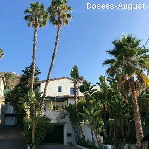 八月最火的硬曲(抖音原版)-Dosess