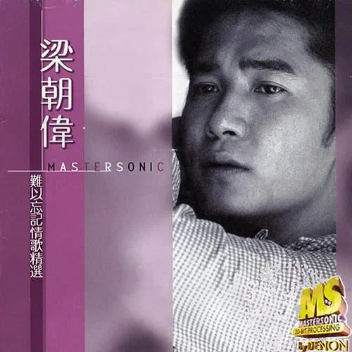 偷偷愛你-梁朝偉