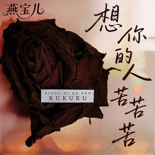 想你的人苦苦苦 (DJ九零版)-燕寶兒