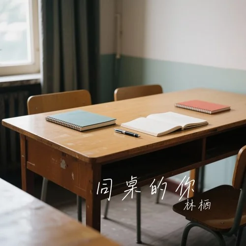 同桌的你-林棲