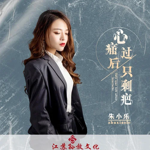 心痛過后只剩疤-朱小樂