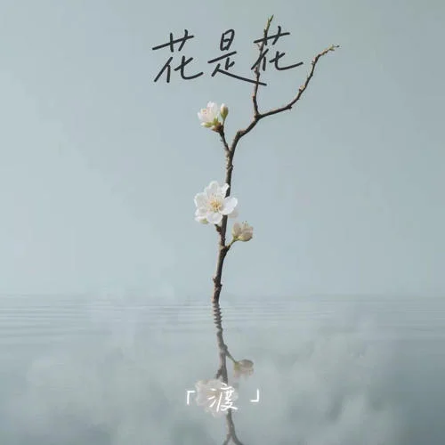 花是花-渡