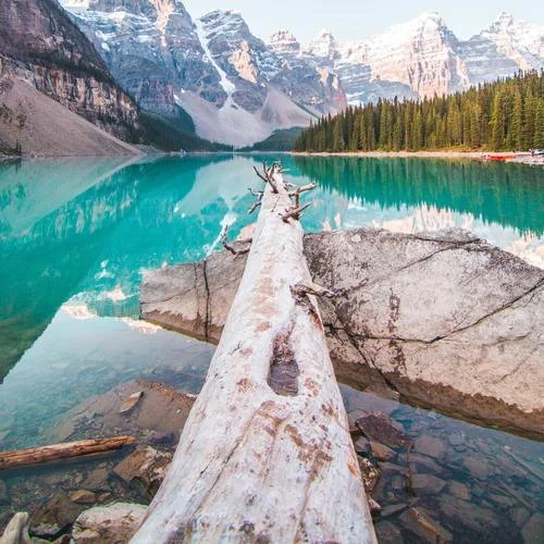 Gentle tones-Maybe I Should