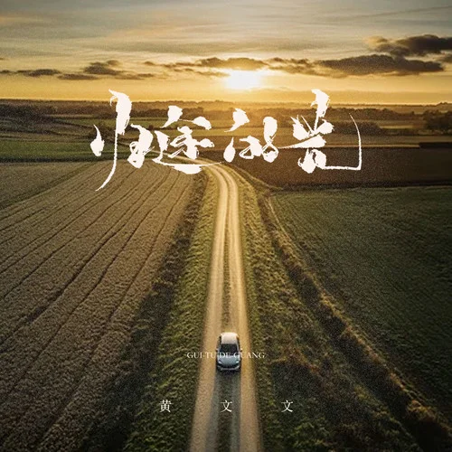 归途的光-黄文文