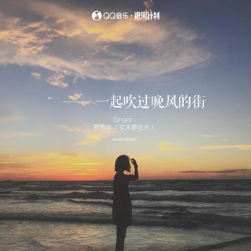 一起吹過晚風(fēng)的街-聶思詩