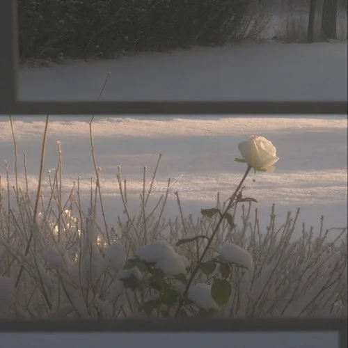 我想把你喂的胖胖的 (DJ版)-DJ李太白&Jonice