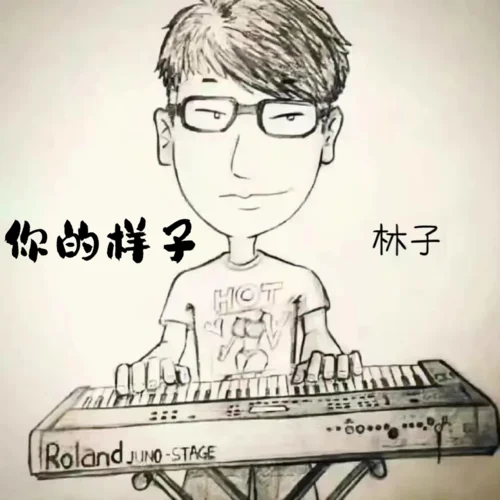 你的樣子 (煙嗓版)-林子