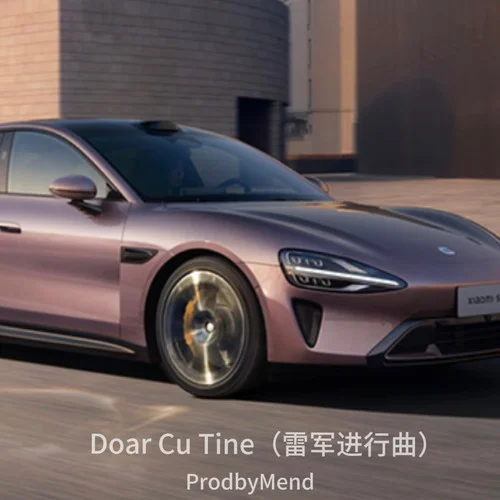 Doar Cu Tine(雷軍進(jìn)行曲)-ProdbyMend