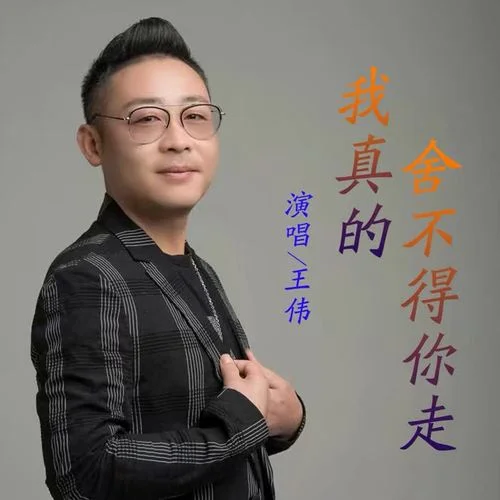 我真的舍不得你走-王偉