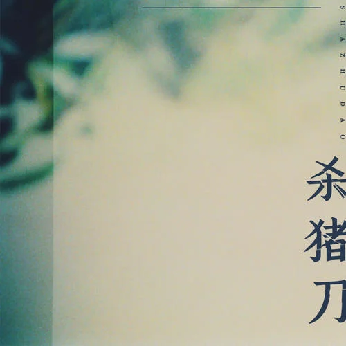 殺豬刀(DJ版)-鵬鵬音樂