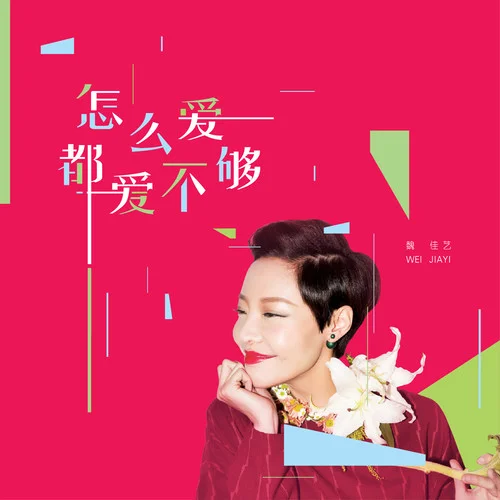 下次不錯(cuò)過-魏佳藝