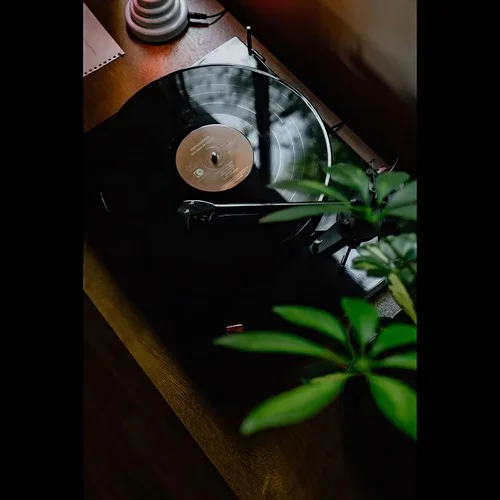 小飛 (望著你)-樂賢baby