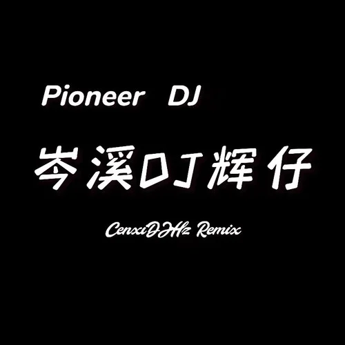 情罪 (岑溪DJ輝仔 remix) (Remix)-岑溪DJ輝仔