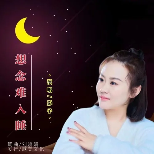 想念難入睡(DJ默涵版)-影子