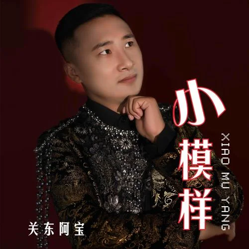 小模样（Dj沈念版）-关东阿宝