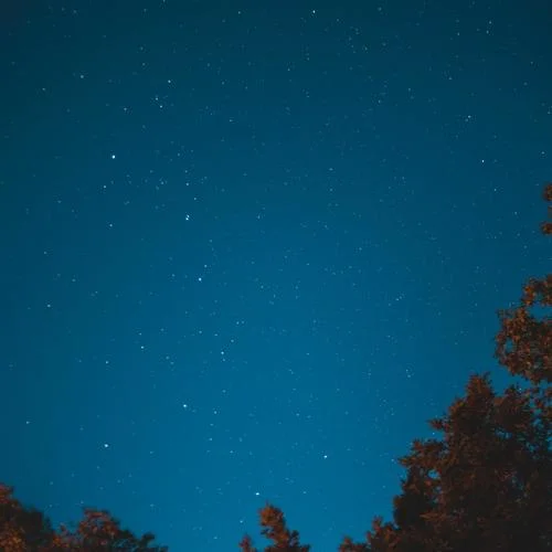 國王塔(鋼琴曲)-輕音樂館