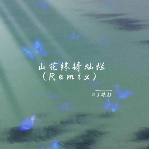 山花終將燦爛 (Remix)-DJ鐵柱