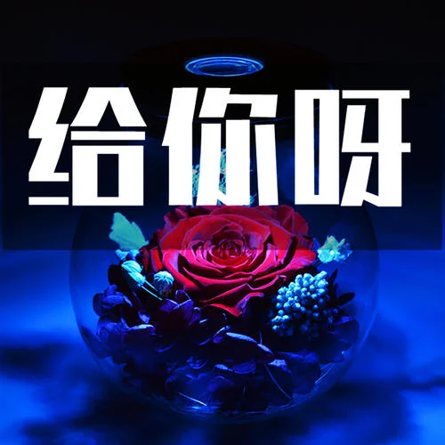 给你呀-将小呢&For Ya