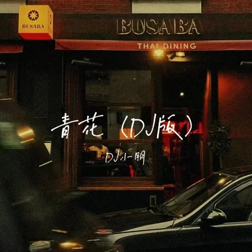 青花(DJ版)-DJ小朋