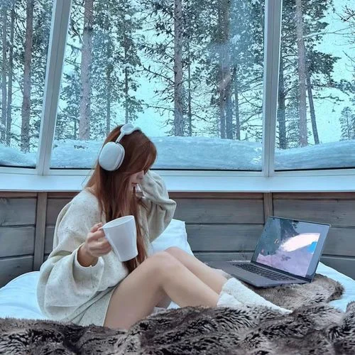 秋去冬來月如風(fēng) (DJ版)-DJ時傾