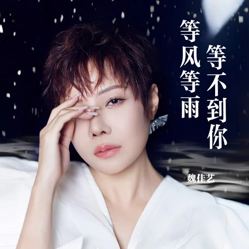 等風(fēng)等雨等不到你(DJ沈念版)-魏佳藝