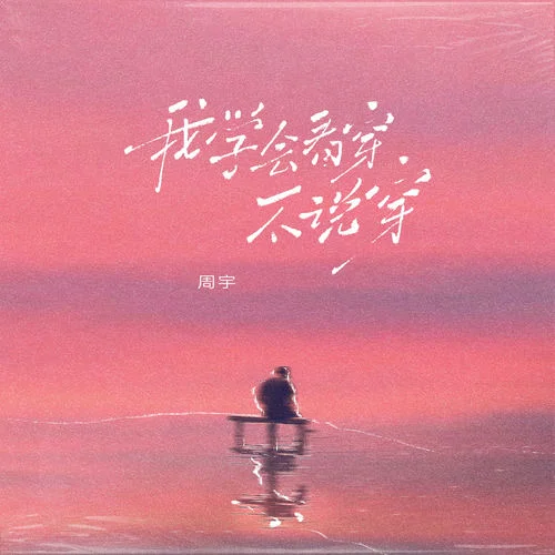 我學(xué)會(huì)看穿不說(shuō)穿-周宇