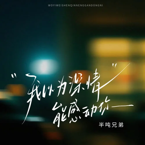 我以為深情能感動你-半噸兄弟