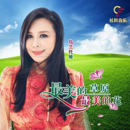 最美的草原最美的花-烏蘭托婭