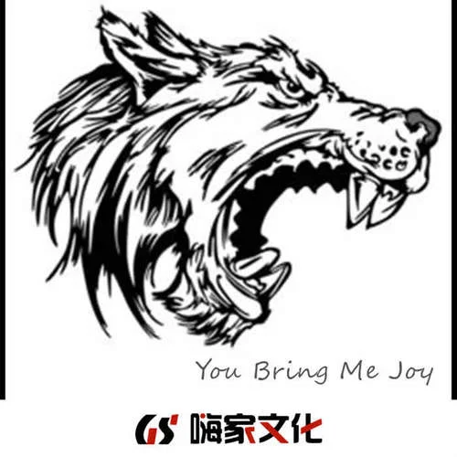 回家的路(抖音完整版)-Various Artists