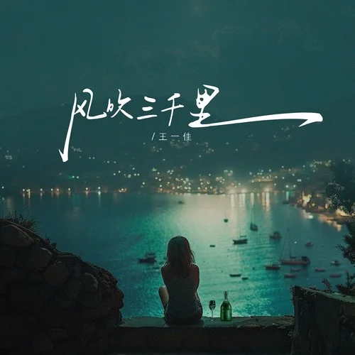 風(fēng)吹三千里（DJ阿尼版）-王一佳
