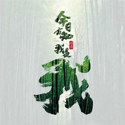 今日方知我是我-路勇