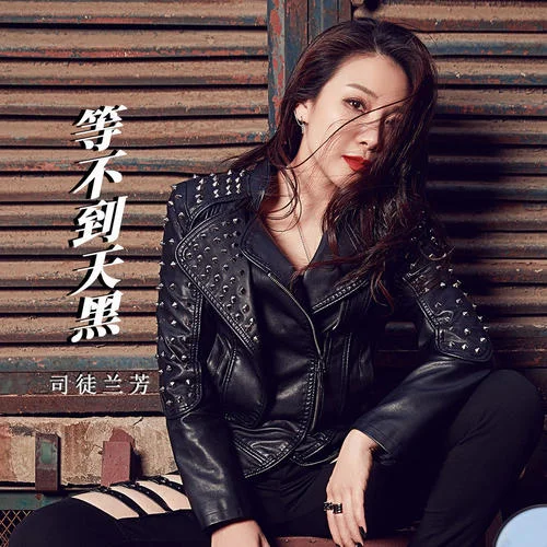 等不到天黑(DJ默涵版)-司徒蘭芳