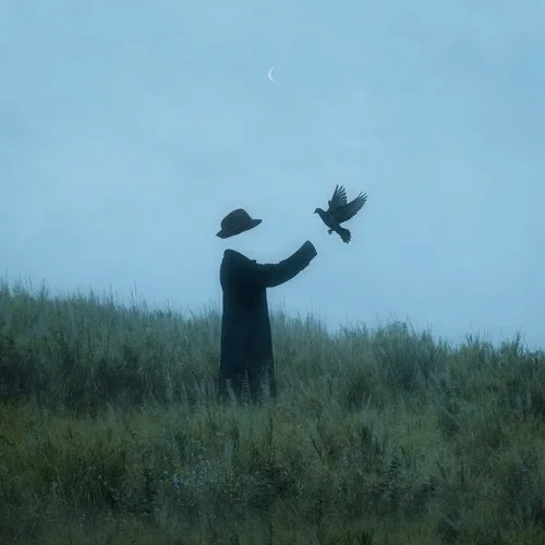 future(Forest mixtape)-Knorr