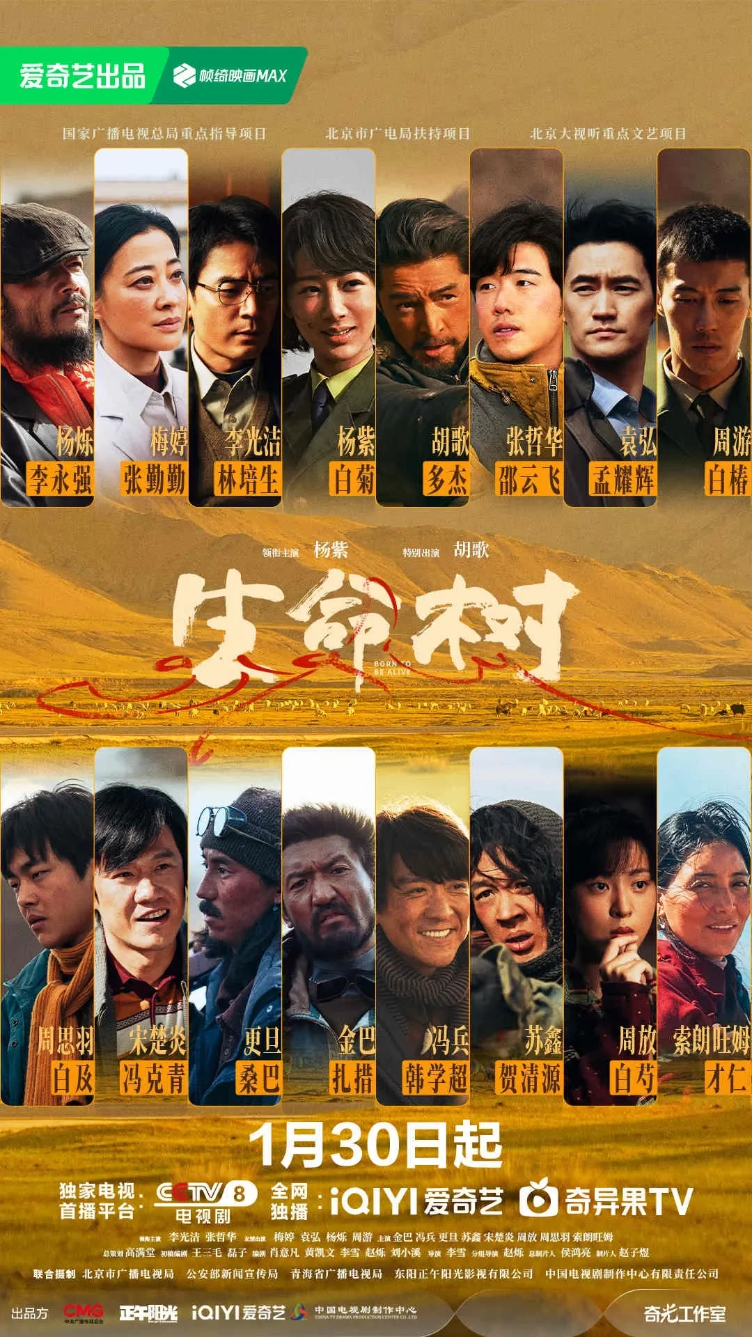 中國大陸電視劇《生命樹》 [2026][楊紫 胡歌][夸克網(wǎng)盤] - 電視劇夸克網(wǎng)盤下載