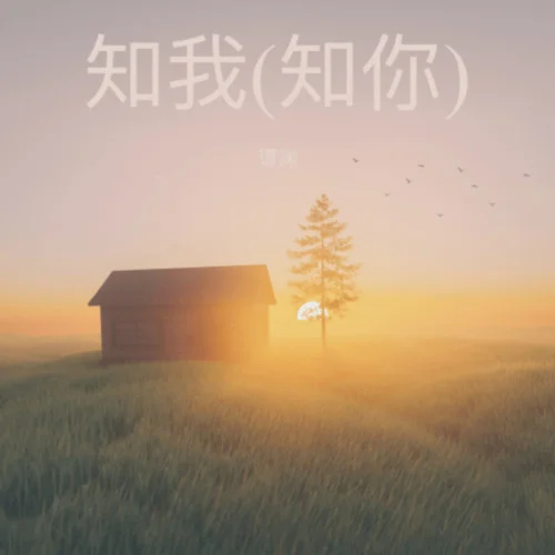 知我(岁岁平安)-谭渊