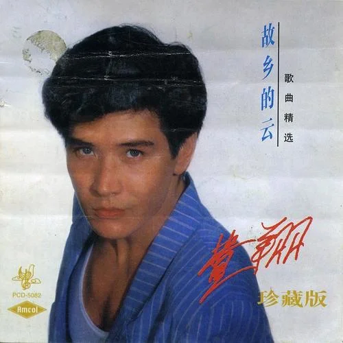 我怎么哭了-费翔