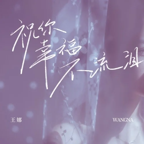 祝你幸福不流淚 (DJ九零版)-王娜