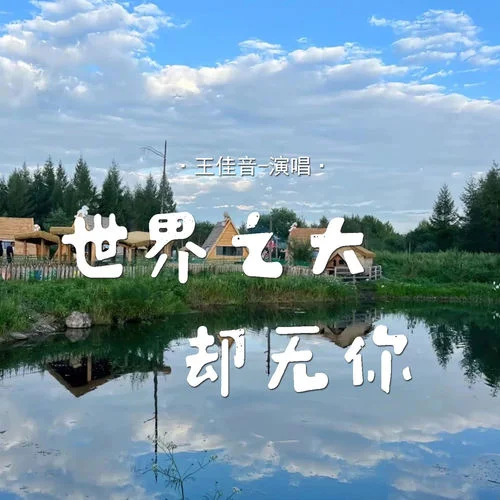 世界之大卻無你-王佳音