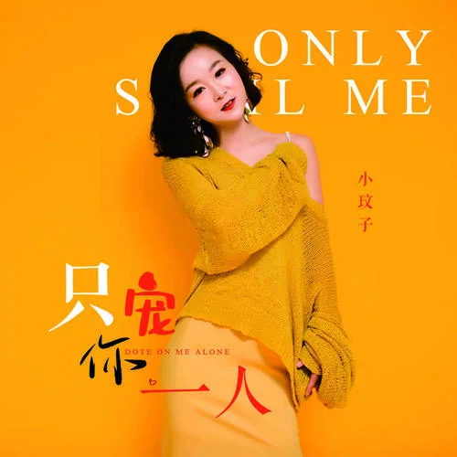 只寵你一人(DJ沈念版)-小玟子