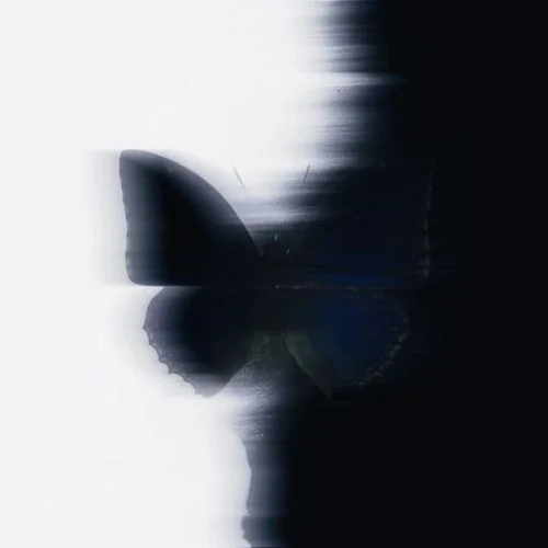 Patience is key in life(BY.NEW)-BY.NEW