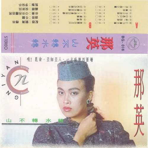 一片癡情四面墻-那英