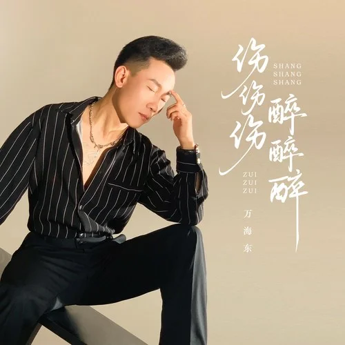 傷傷傷醉醉醉(DJ魅音版)-萬海東