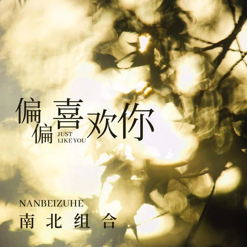 偏偏喜歡你-南北組合