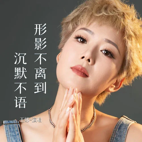 形影不離到沉默不語 (DJ默涵版)-王娜