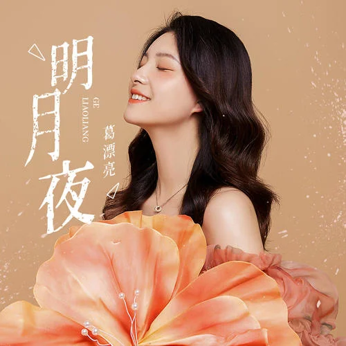 明月夜-葛漂亮
