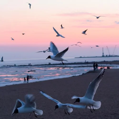 沉沦与遐想-C.HØPEE